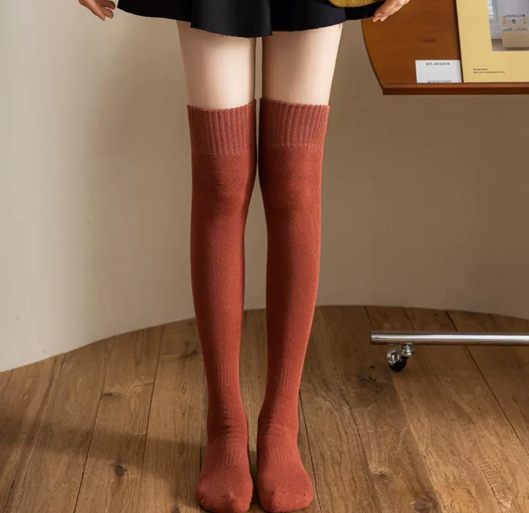 レディース秋冬用 裏起毛・厚手あったかロングソックス（オーバーニー / 防滑 / 膝保護）